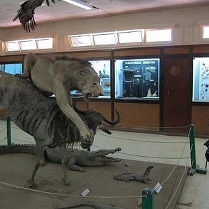 Kericho Museum
